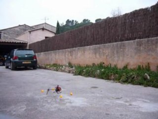 Honey Bee FP2 premier vol