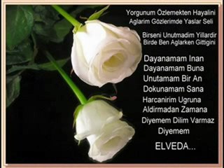 yanlızlığın şarkısı damar