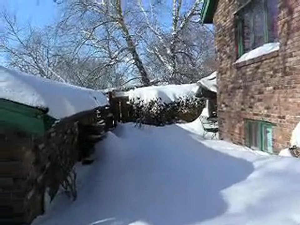 SNOW 2010