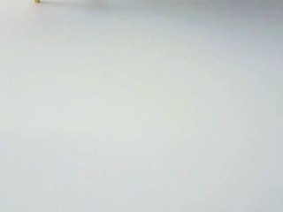 2010 TOUS LES CHEMINS MENENT AU BONHEUR ...