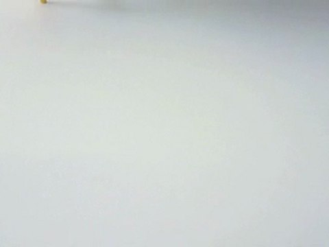 2010 TOUS LES CHEMINS MENENT AU BONHEUR ...