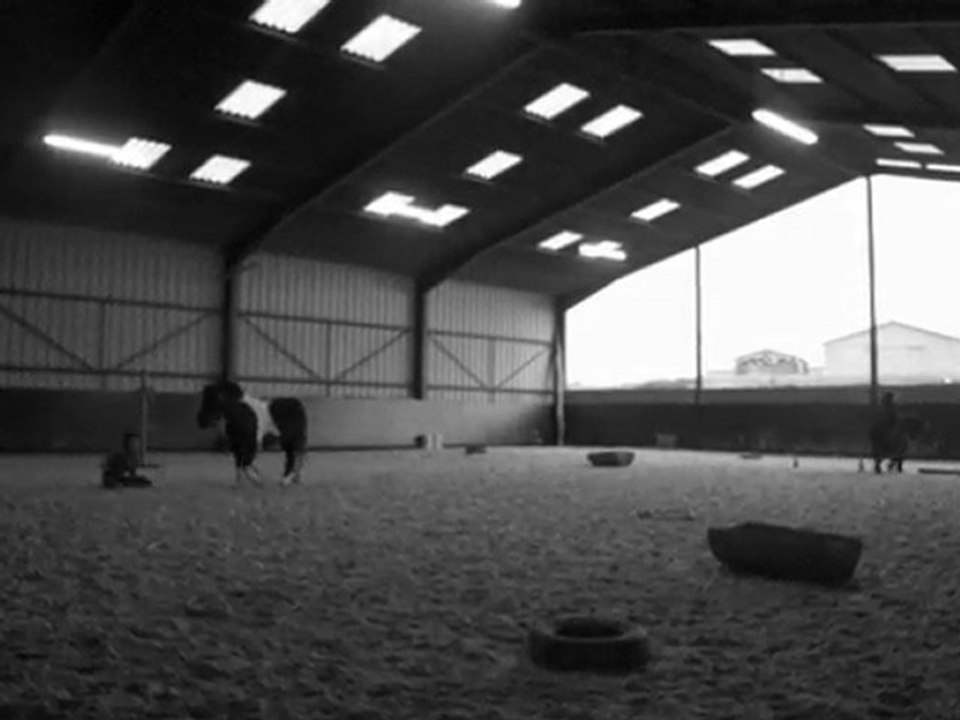 vacance noel = 2 semaine aux ecuries + chute a cru