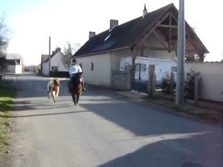 Moi et mes ponettes au galop dans le bourg