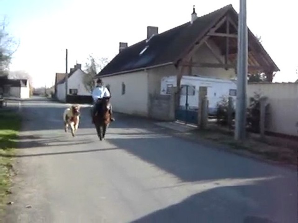 Moi et mes ponettes au galop dans le bourg