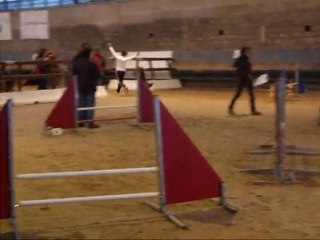 Un petit résumé de ses 2ans pasé ensemble !!!!!!