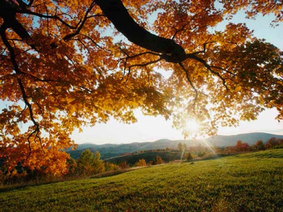 Moxti do mendamixoni. Soz ve muzik -Ayhan Papila