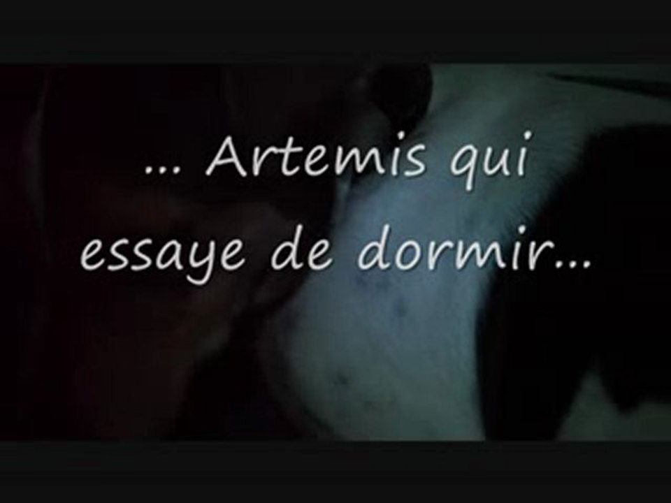 le film le plus nul