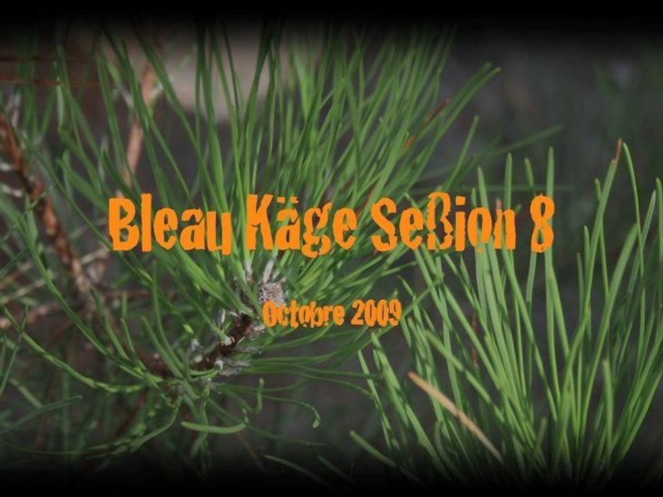 Bleau Käge Seßion 8