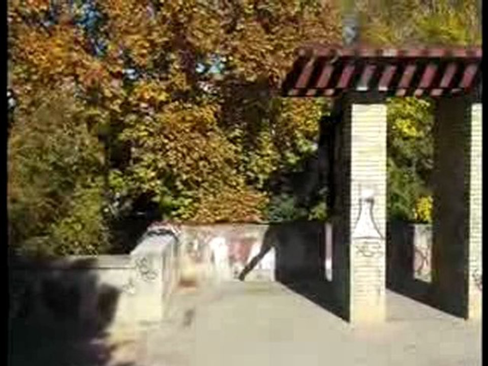 Trailer Deko 2010