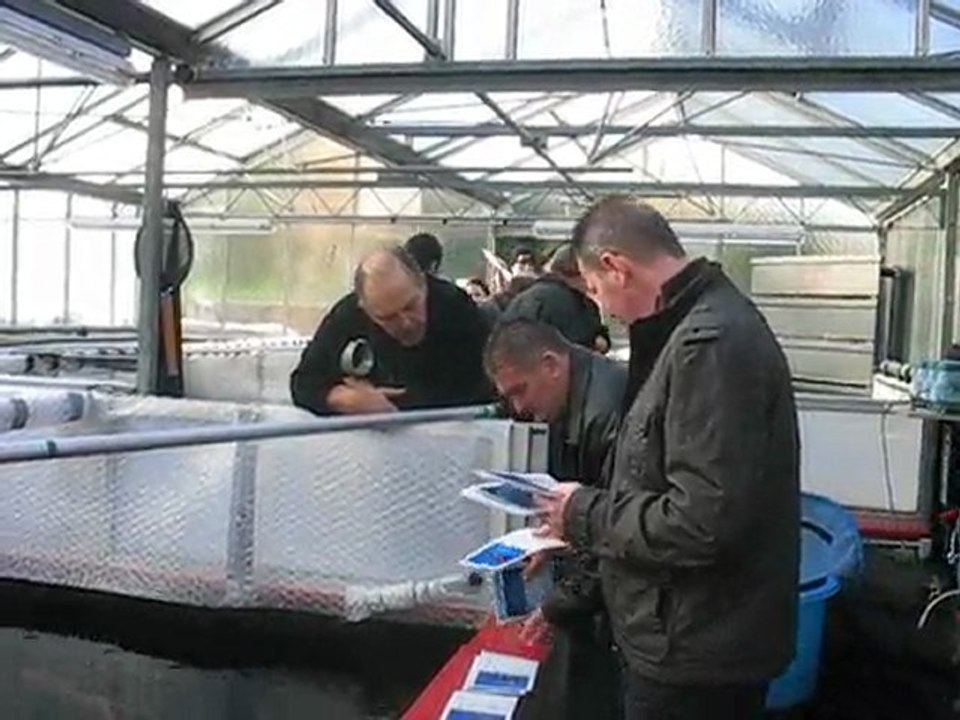 nieuwe KOI kijken. kims koi Kemperhout (5)