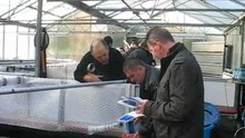 nieuwe KOI kijken. kims koi Kemperhout (5)