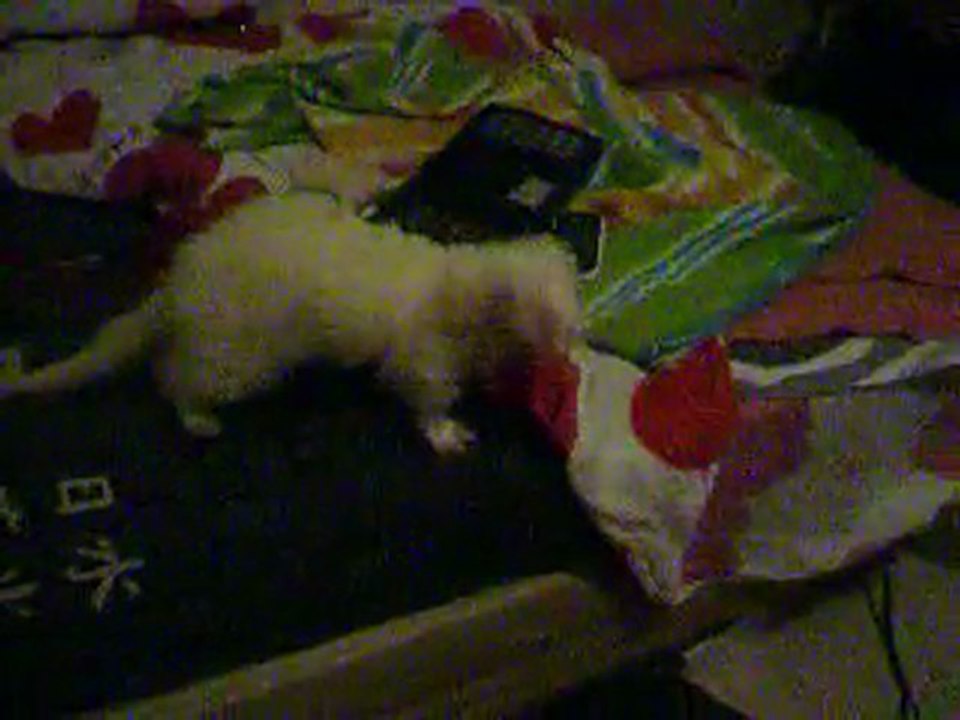 cappy