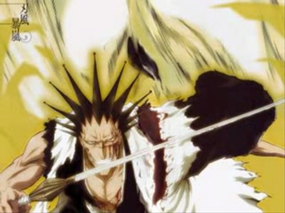 amv zaraki