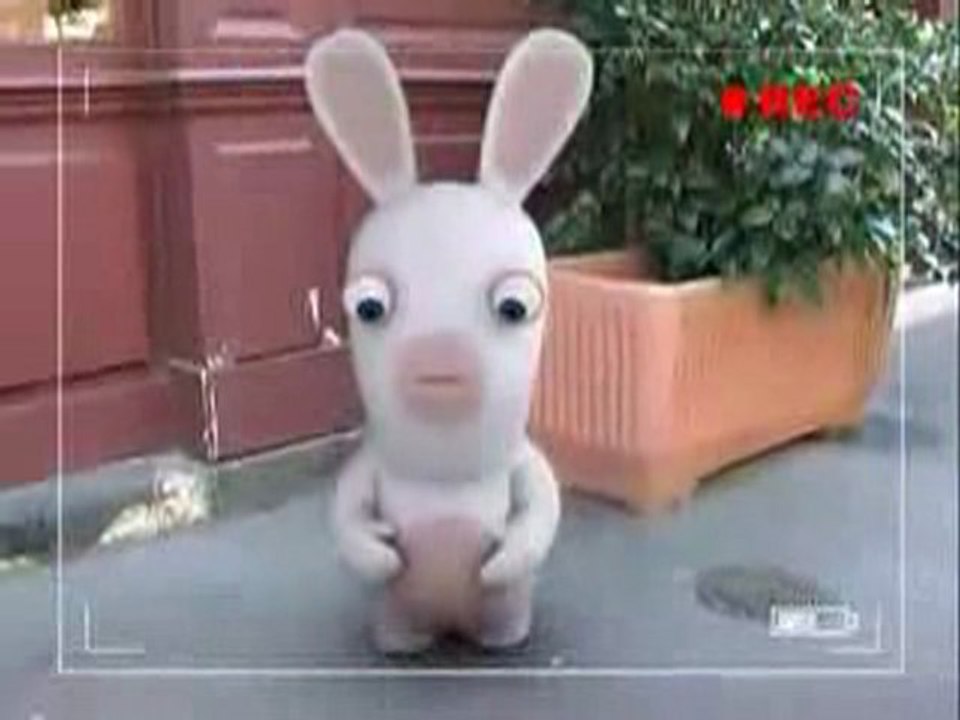 Bunnies Can't Phone