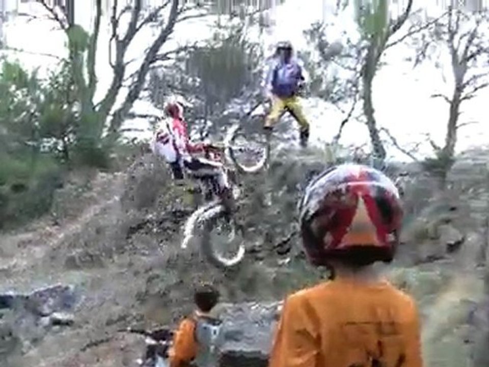 00003trial fonties