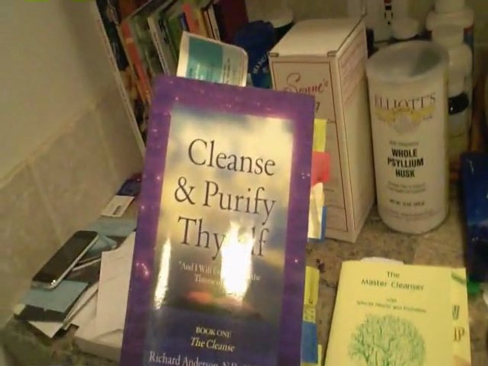 Lemonade Diet Cleanse 010310