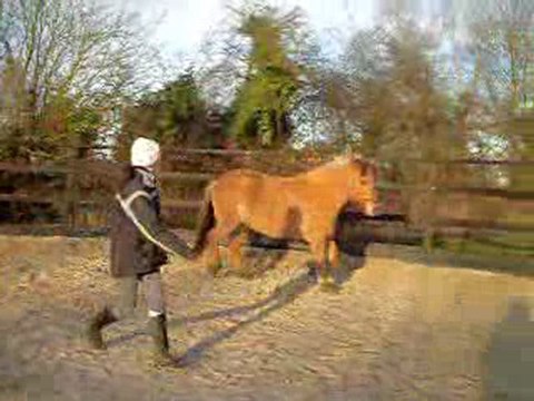 Pilou travail rond de longe