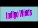 Indigo Winds  - Backing Track DEMO (custombtmusic)