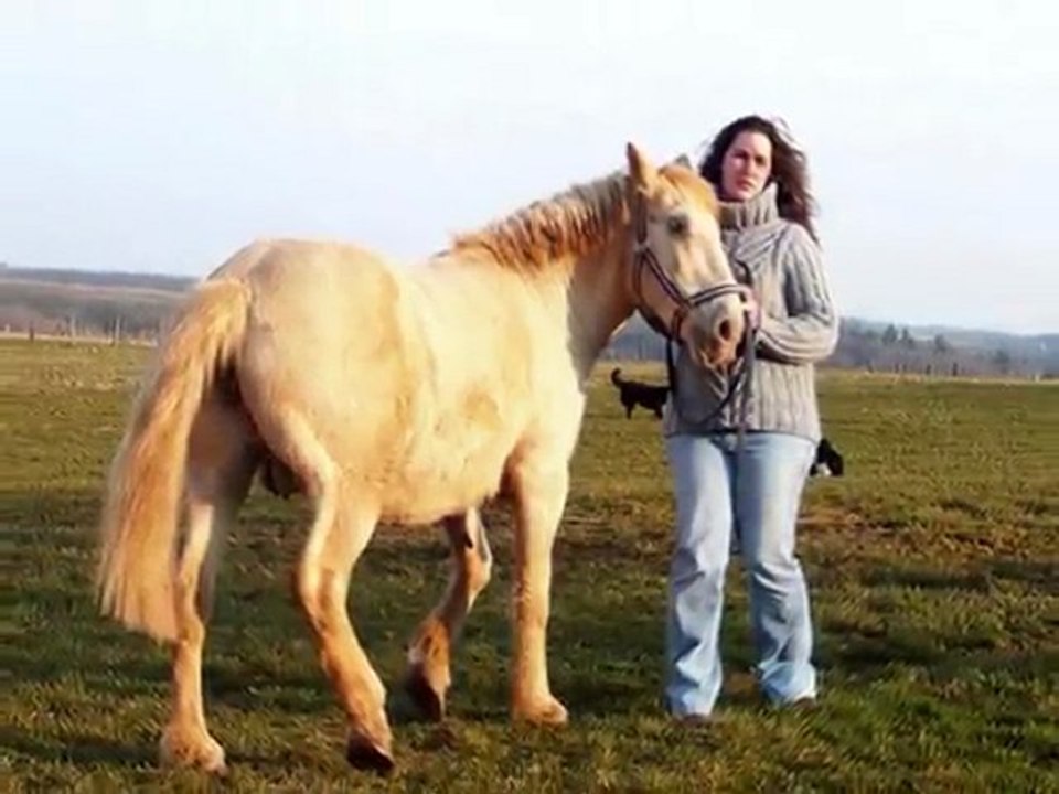 vieille vidéo retrouvée