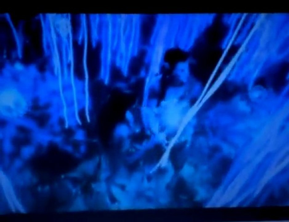 Avatar - jake & neytiri become one