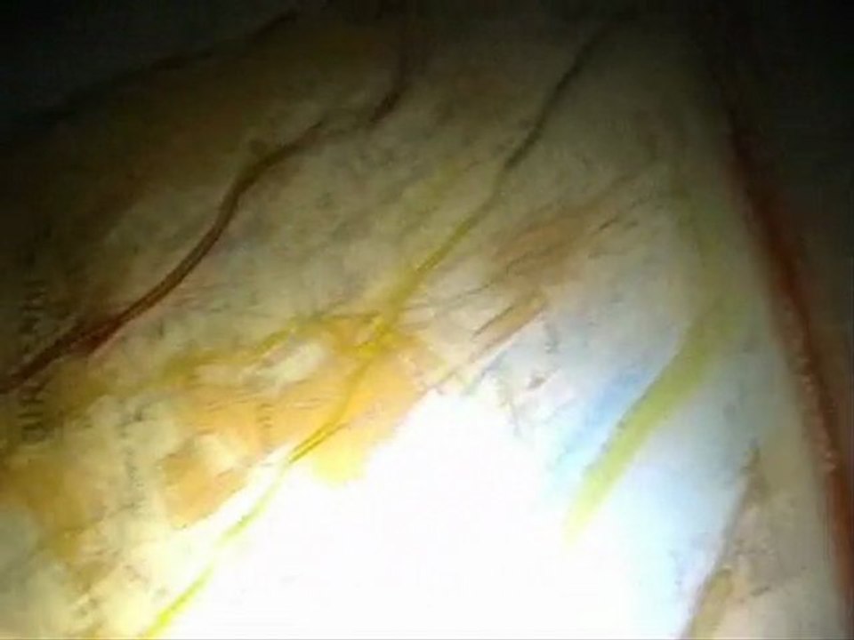 The Welsh Bicknor Project