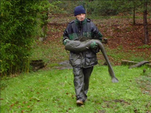 le film1 amis cormorans