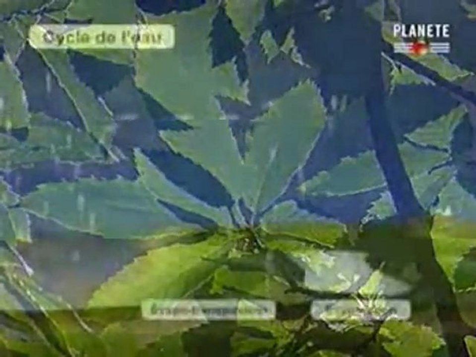 Combien pèse un nuage 1