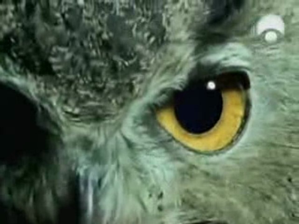 Parque Natural de Los Alcornocales