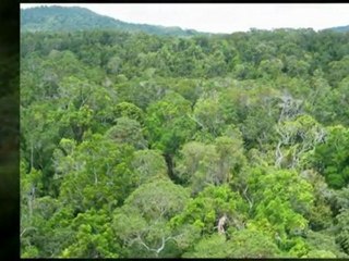Lot 86 Camille Drive Strathdickie Land Sale Whitsundays