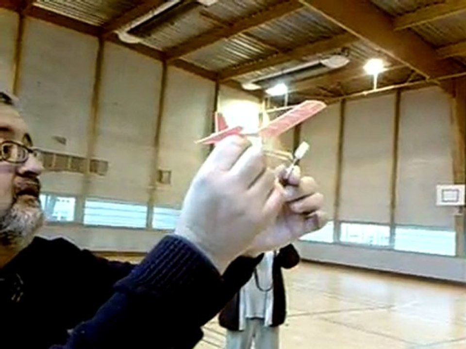 Micro Hangar-rat