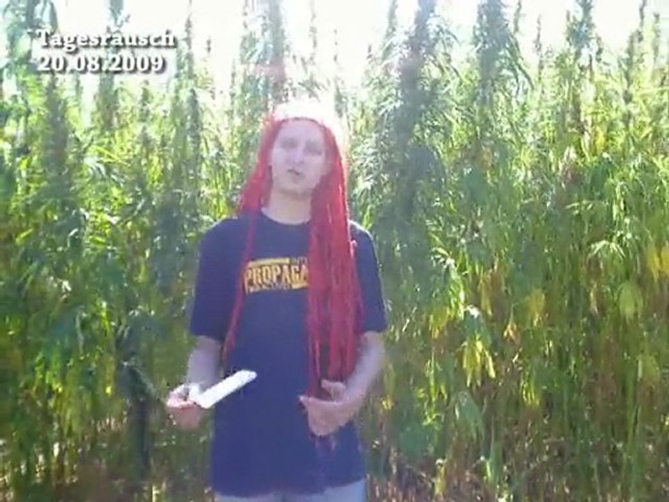 RisiKuhLabyRind, Exzessiv und Fuckparade - Tagesrausch 20.8.