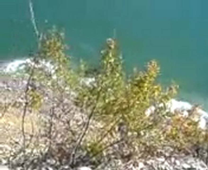 MOV00001