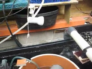 jan KOI      vijver deel 2