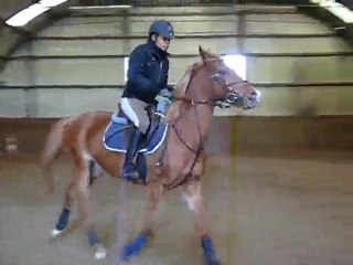 Me et jonkyl petit cours