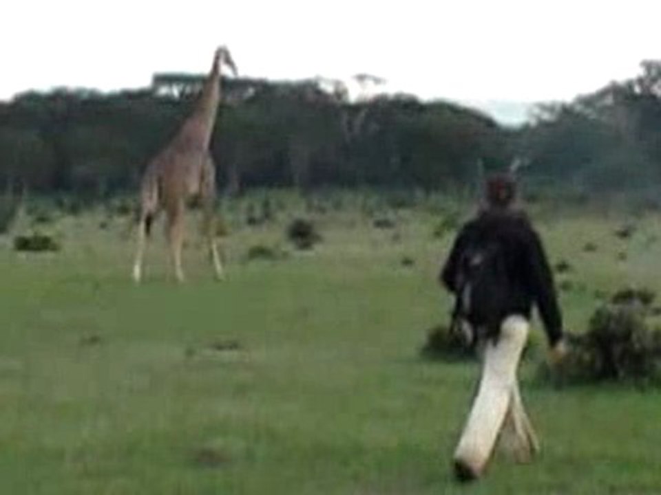 kenya 388