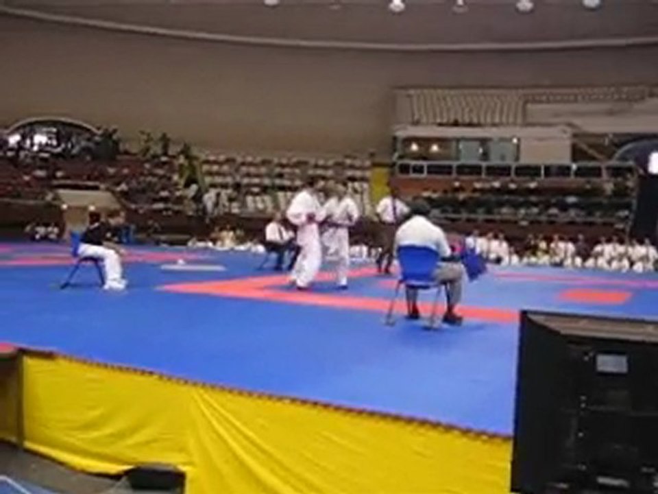karate 02/2010