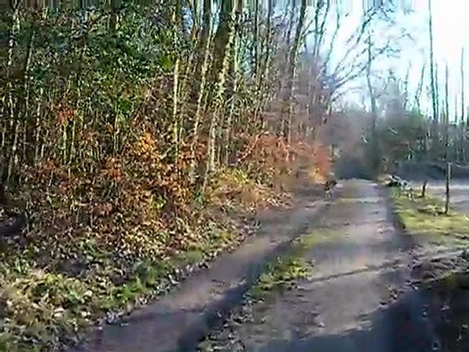 vis ma vie ... acte 3