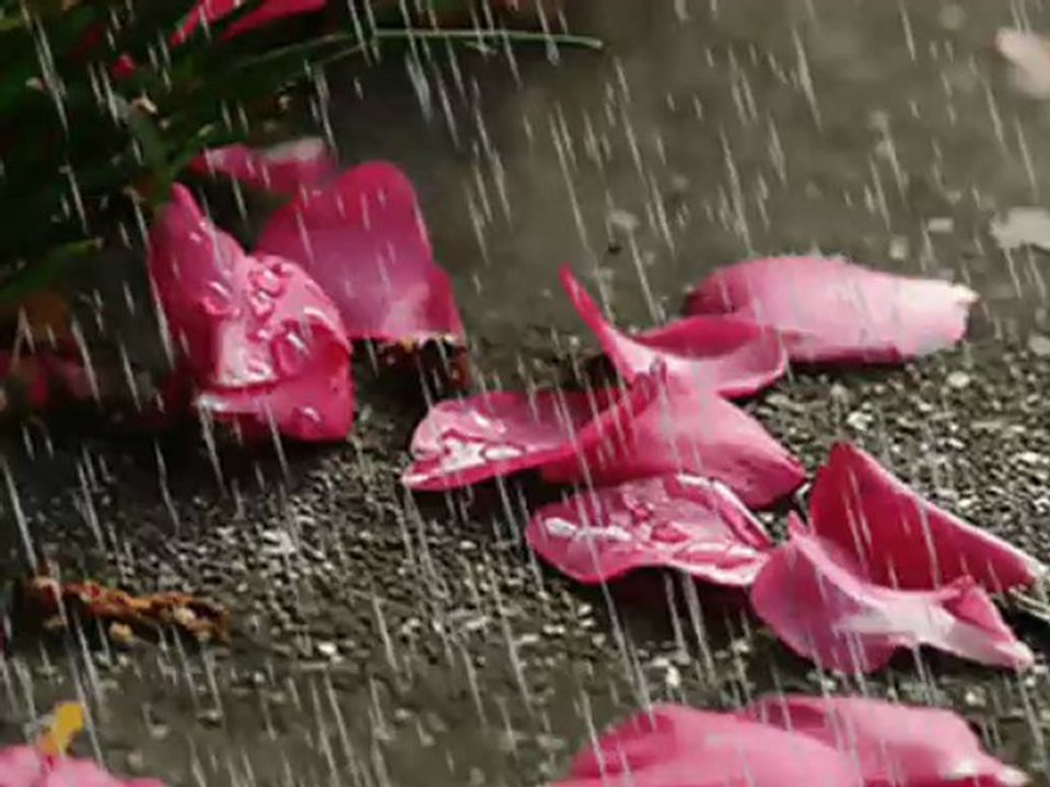 Murat Başaran - Mağrur