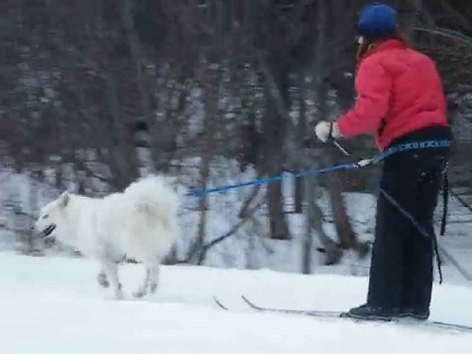 02-01-10-VID01