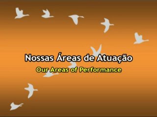 AdvanceConsultoria.com - Vídeo Institucional para o Ano 2010