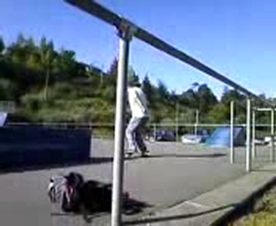 50-50 fifty-fifty sur la box à Calonne 60cm