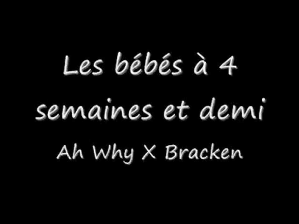 les BB border 27 12 09