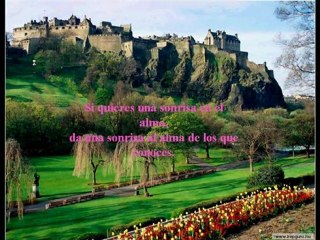 Video 96  EL SECRETO en youtube, pelicula, video, dvd, tv