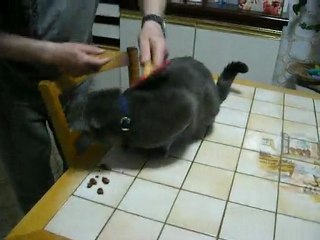 16ème vidéo de Sacha Coeur d'Velours