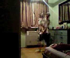 Video0044