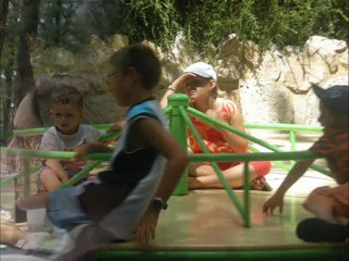 african safari 2009