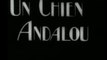 Ο ΑΝΔΑΛΟΥΣΙΑΝΟΣ ΣΚΥΛΟΣ (Un Chien Andalou, 1929)