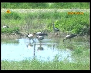 Zakręty Dziejów - Wołyń 1943 cz.4