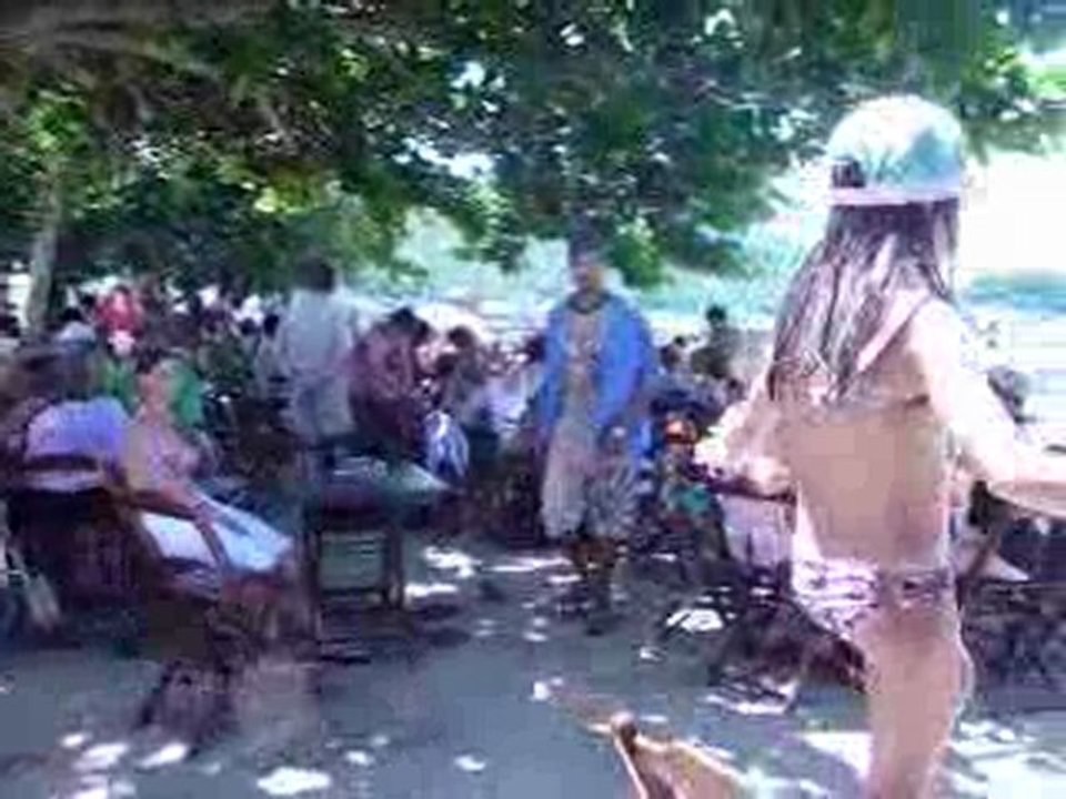 L´école des fans sur l´île