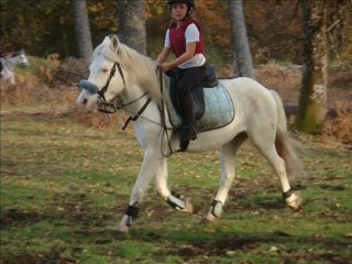 30 Octobre 2009 Edmée et Raphaëllo en séance de cross
